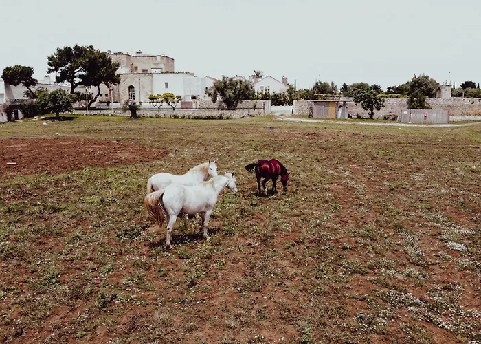 Masseria Francescani